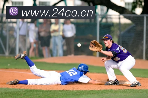 milan登录入口平台生态图