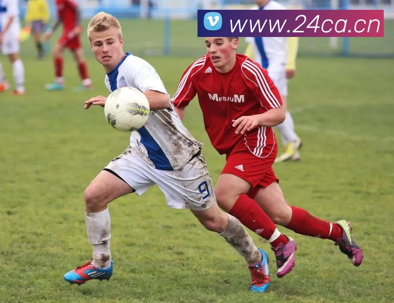 milan登录入口APP 封面图